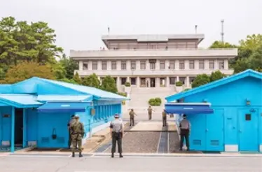 SZpM8kCjWNUV9BeRirMMjmz8M3ntSb_1528362713_1