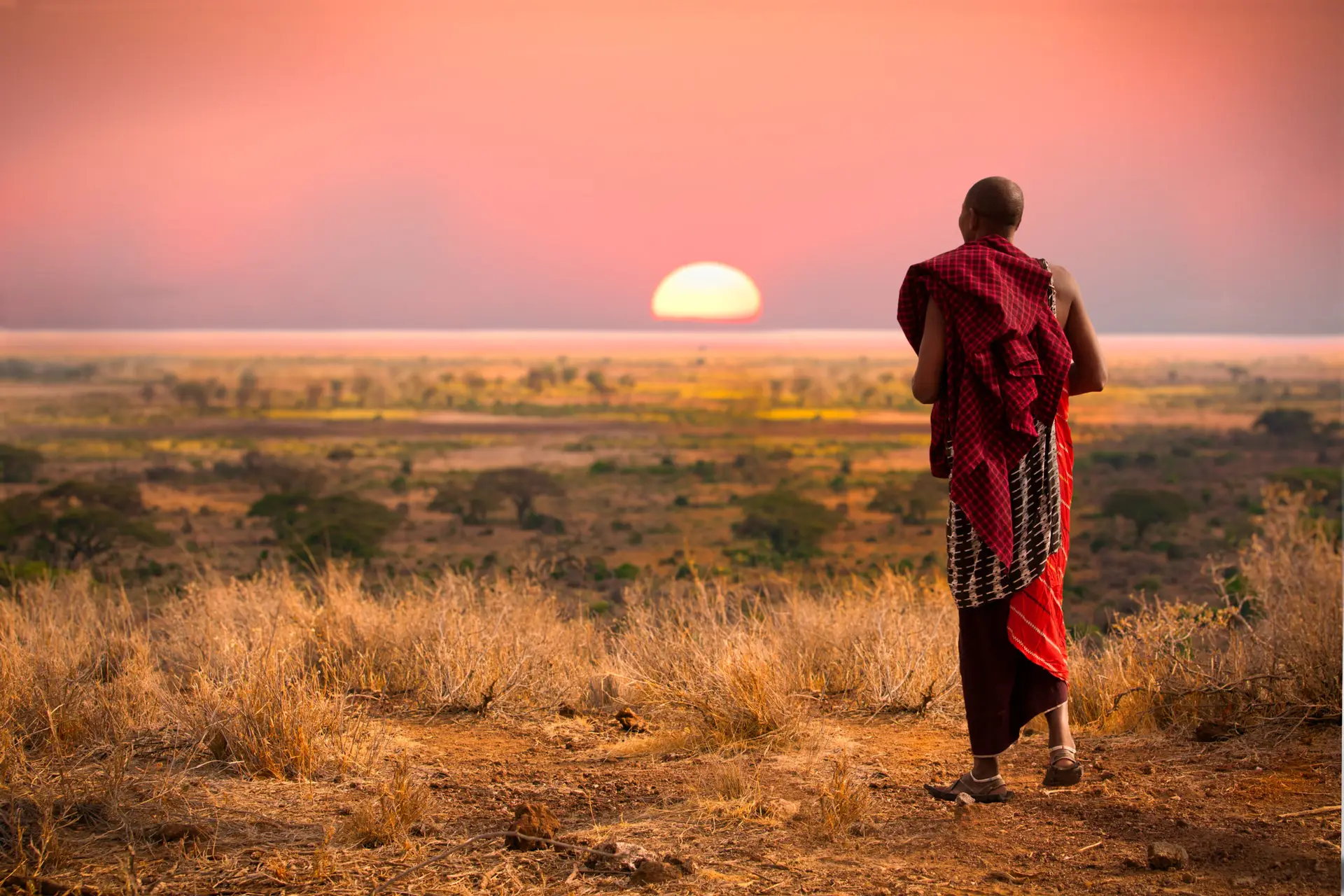 Massai,Man,,Wearing,Traditional,Blankets,,Overlooks,Serengetti,In,Tanzania