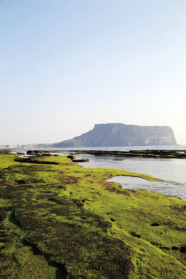 길위의유네스코01-1