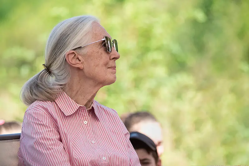 Budapest,,Hungary,-,August,09,,2019:,Jane,Goodall,Speaks,In