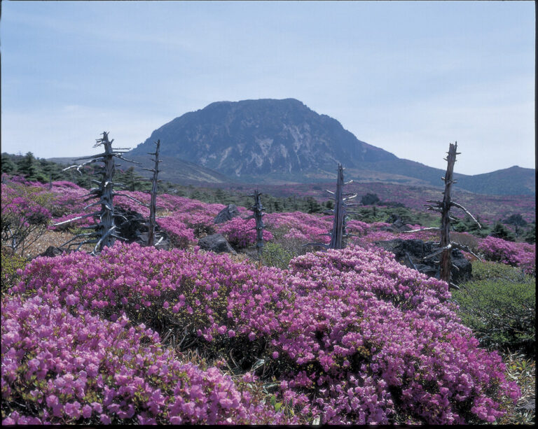 제주 화산섬과 용암동굴