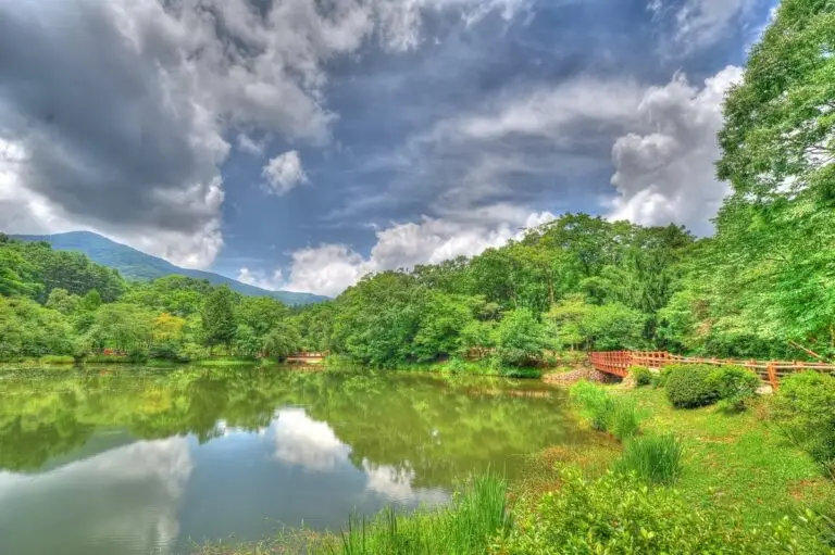 광릉숲