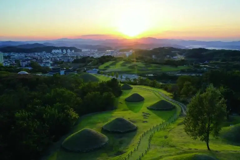 25631_2405182_1726744063826183785