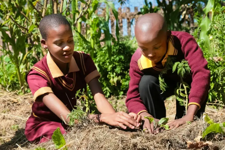 Johannesburg,,South,Africa,-,April,29,2009:,School,Children,Learning