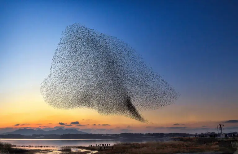 soMauIIO1noX6WZVSMfidFxLGT3x0e_1558058000_1