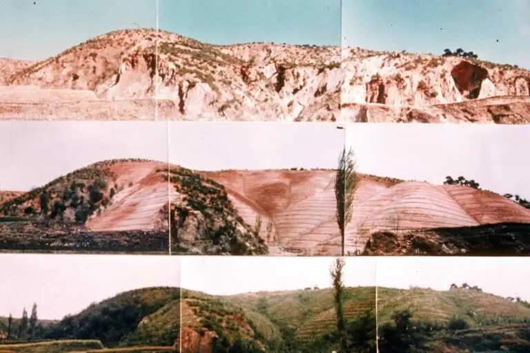 산림녹화기록물