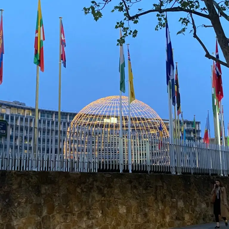 KakaoTalk_20250527_092408392_01 - 양지원