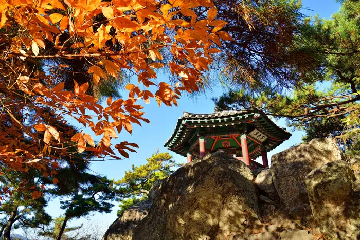 Pavillon Baekhwajeong