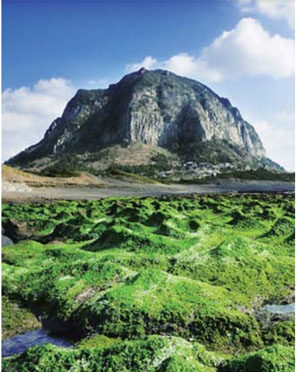20141003_jeju