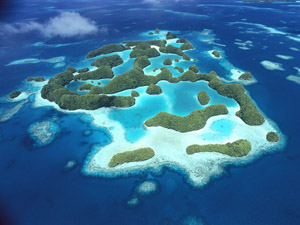 Palau3(3)