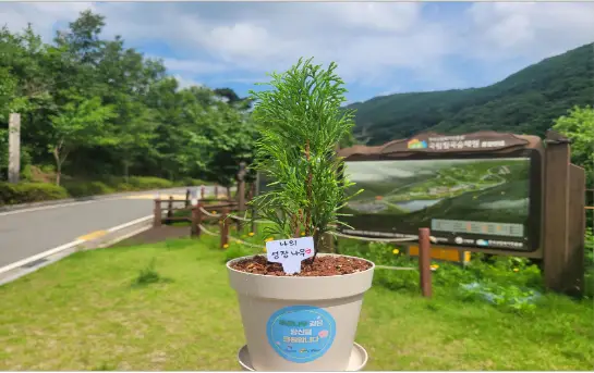 나무와-함께하는-우리의-성장_1