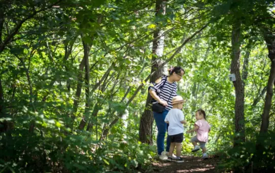 내산내숲-내-손으로-만드는-숲-속의-강원도_1
