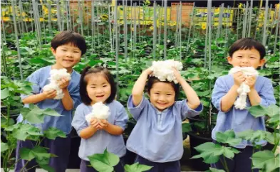 목화프로젝트