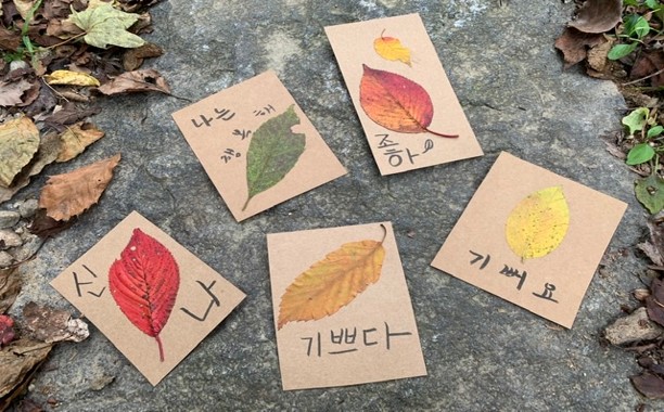 숲체원2