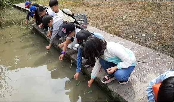 시화호환경학교2