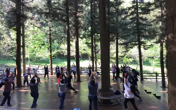 한국산림복지진흥원_바우처-산림교육-지원-프로젝트_사진-2