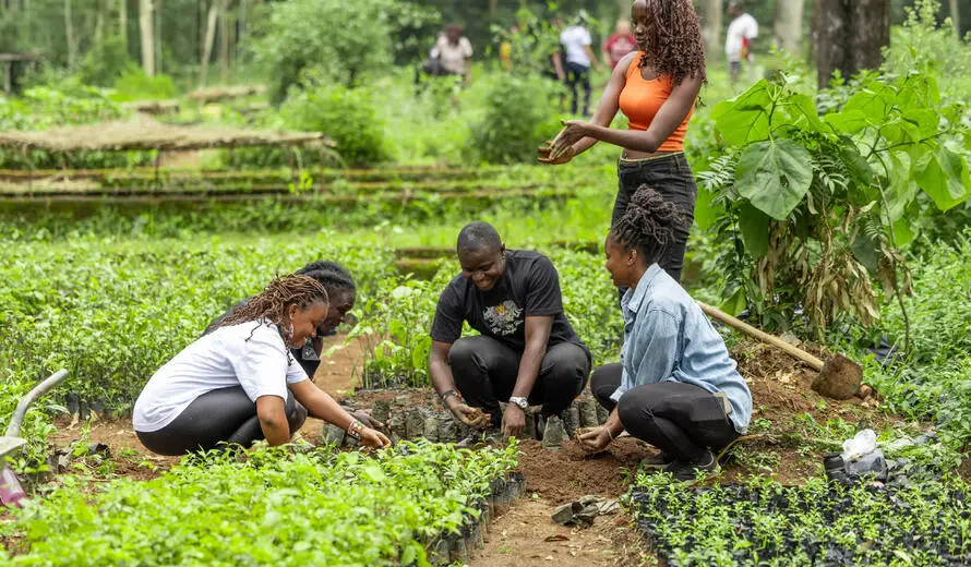 news_2848-890-520-20251218173055